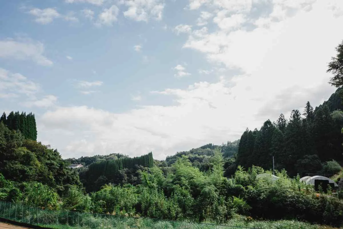 絆を深めるかけがえのない滞在体験